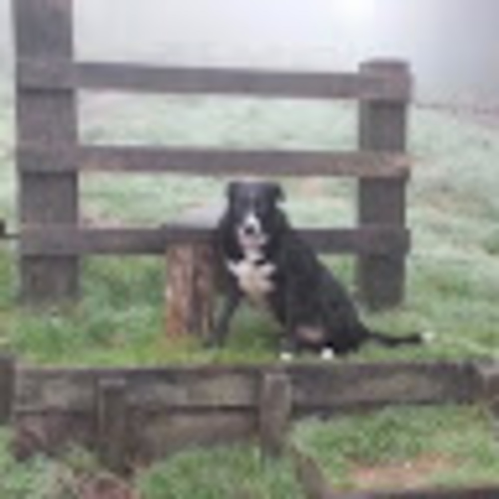 Meet your Posher, Justin